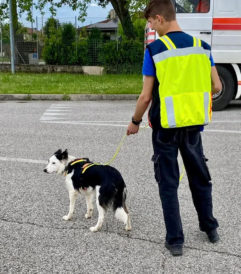 Foto GEM DOG A.S.D.: Allenamento di mantrailing, 26 aprile 2025, foto 2 di 17