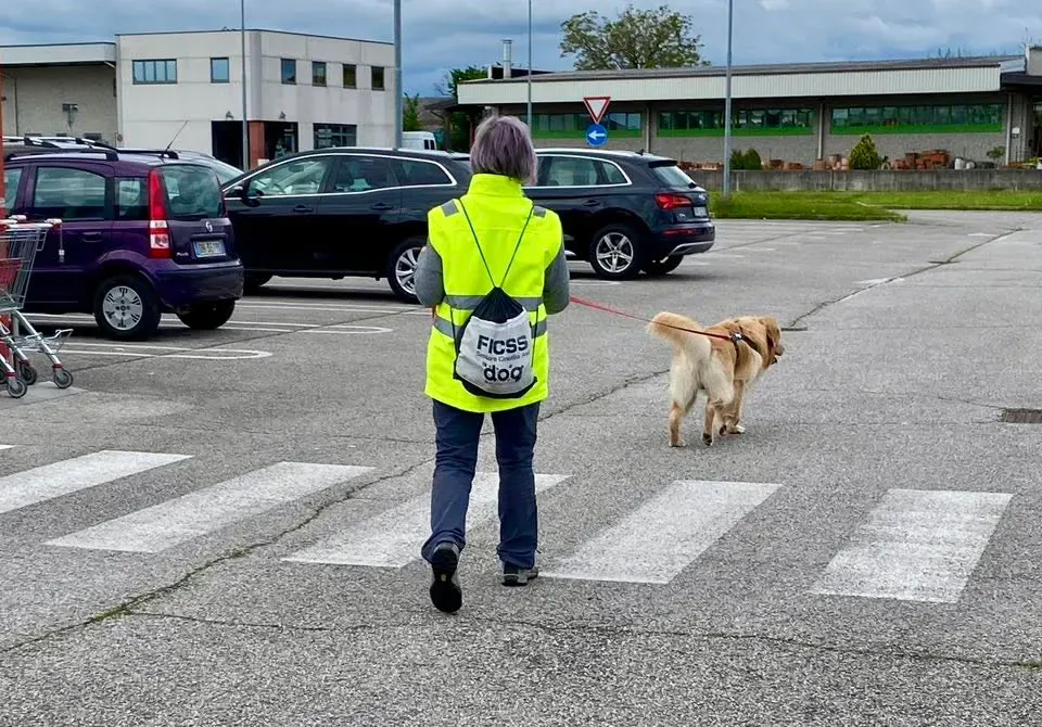 Foto GEM DOG A.S.D.: Allenamento di mantrailing, 26 aprile 2025, foto 5 di 17
