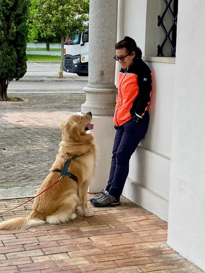 Foto GEM DOG A.S.D.: Allenamento di mantrailing, 26 aprile 2025, foto 11 di 17