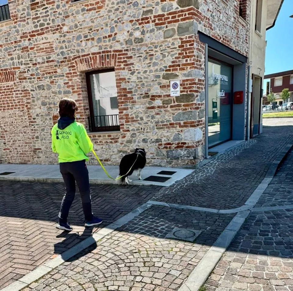 Foto GEM DOG A.S.D.: Allenamento di mantrailing, 10 maggio 2025, foto 1 di 13