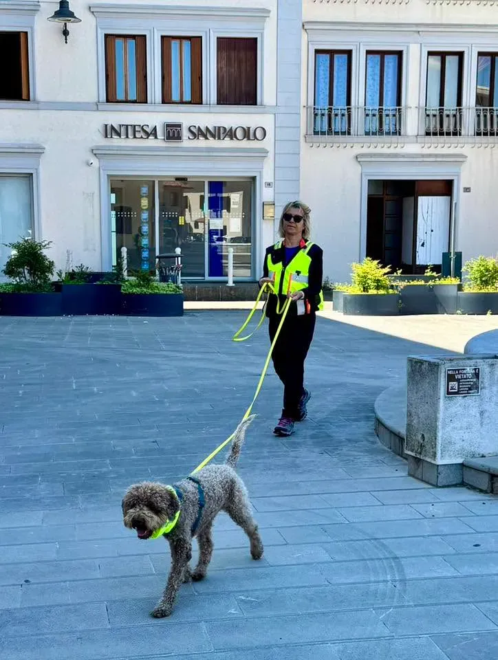 Foto GEM DOG A.S.D.: Allenamento di mantrailing, 10 maggio 2025, foto 3 di 13