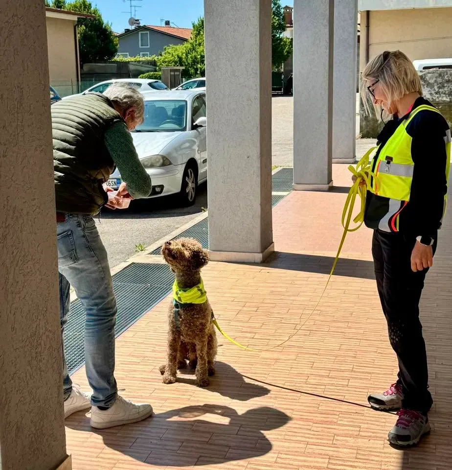 Foto GEM DOG A.S.D.: Allenamento di mantrailing, 10 maggio 2025, foto 4 di 13