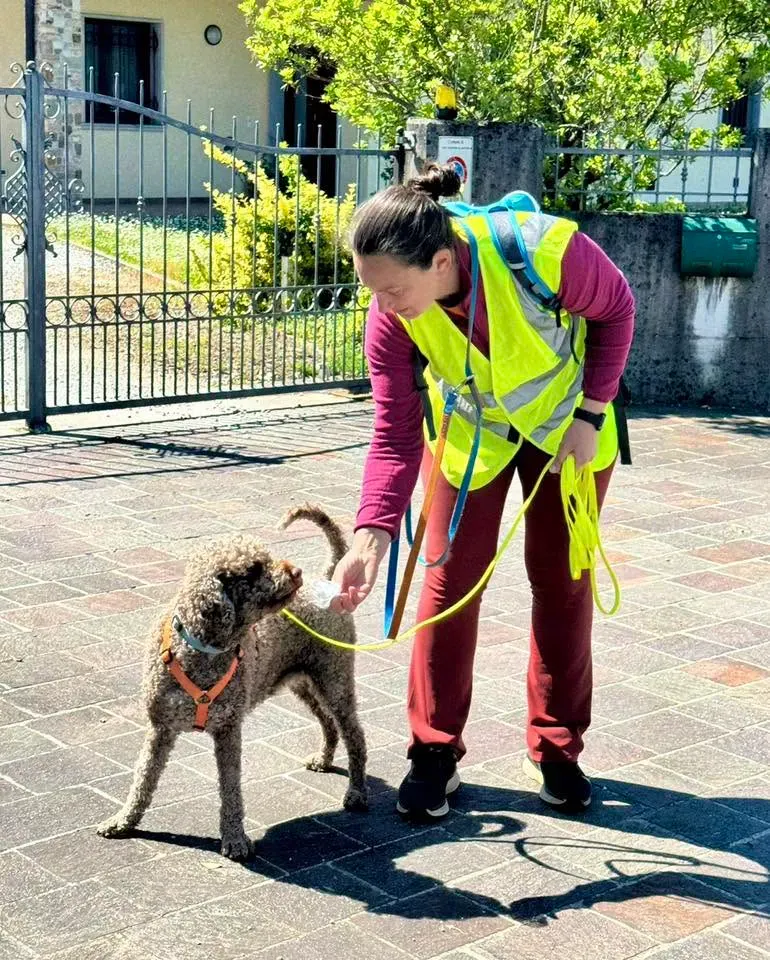 Foto GEM DOG A.S.D.: Allenamento di mantrailing, 10 maggio 2025, foto 5 di 13
