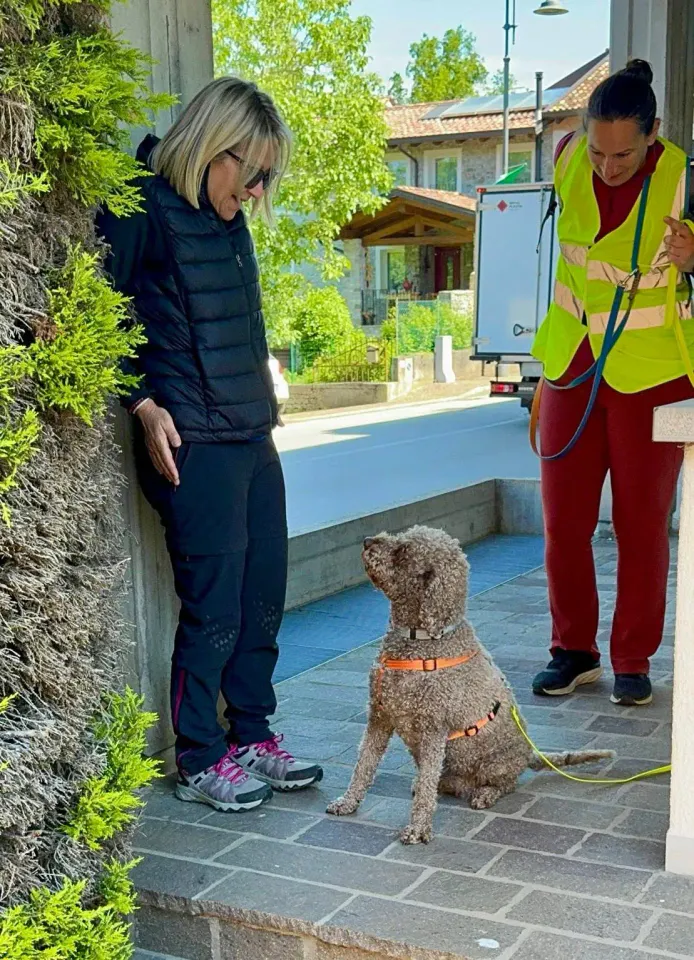 Foto GEM DOG A.S.D.: Allenamento di mantrailing, 10 maggio 2025, foto 7 di 13