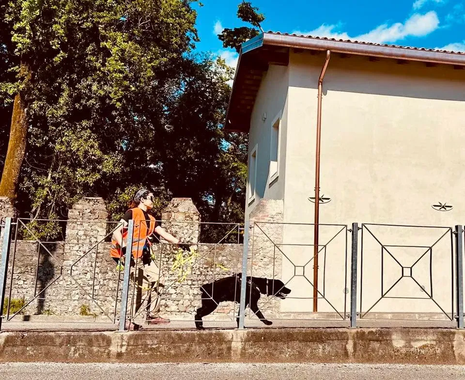 Foto GEM DOG A.S.D.: Allenamento di mantrailing, 10 maggio 2025, foto 12 di 13