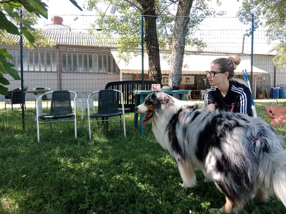 Foto GEM DOG A.S.D.: Chi ri-cerca trova, giochi di fiuto, Leproso, 11 maggio 2025, foto 4 di 17