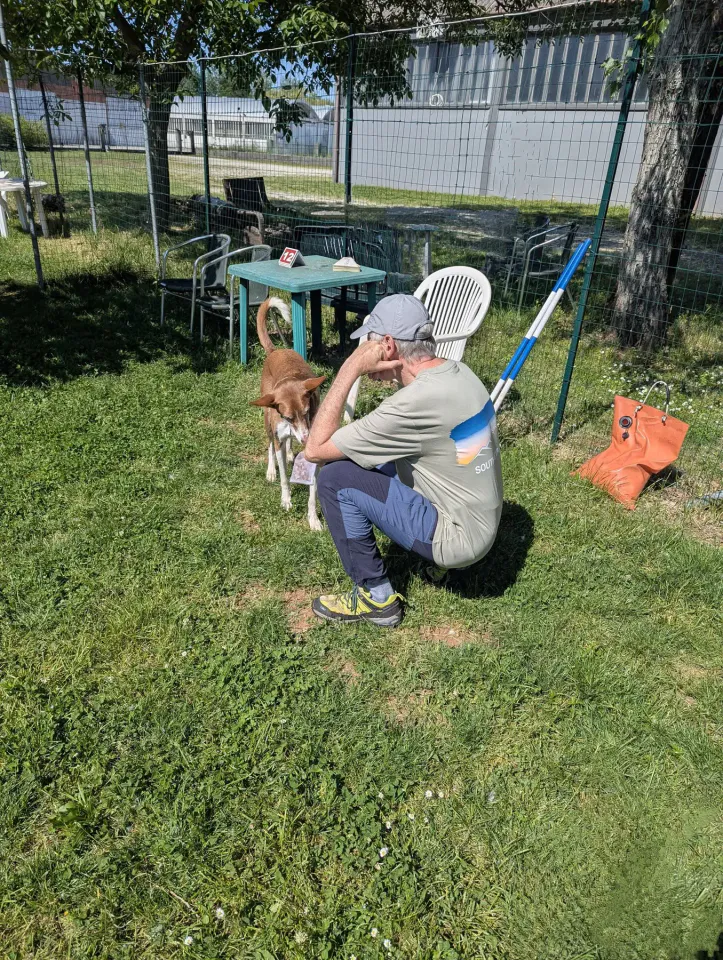 Foto GEM DOG A.S.D.: Chi ri-cerca trova, giochi di fiuto, Leproso, 11 maggio 2025, foto 6 di 17
