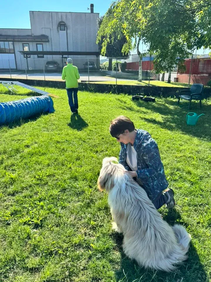 Foto GEM DOG A.S.D.: Chi ri-cerca trova, giochi di fiuto, Leproso, 11 maggio 2025, foto 17 di 17