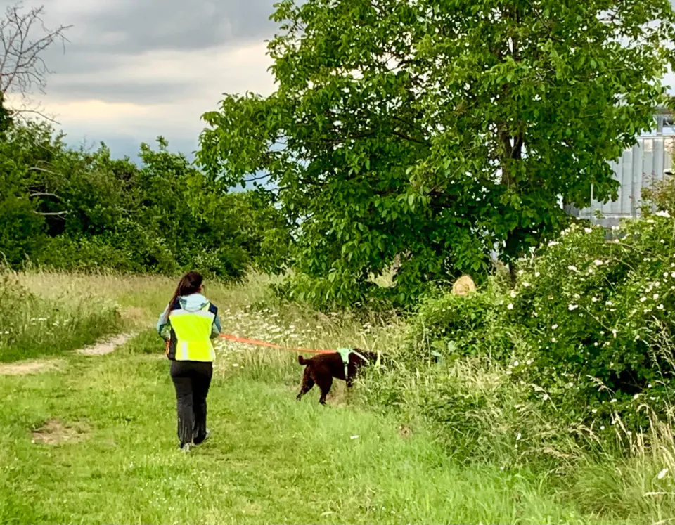 Foto GEM DOG A.S.D.: Corso tecnici di mantrailing FISC di primo livello, Leproso, 17 maggio 2025, foto 6 di 24