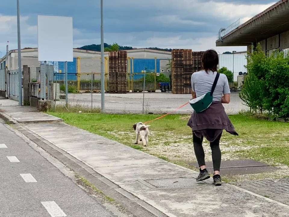 Foto GEM DOG A.S.D.: Corso tecnici di mantrailing FISC di primo livello, Leproso, 17 maggio 2025, foto 7 di 24