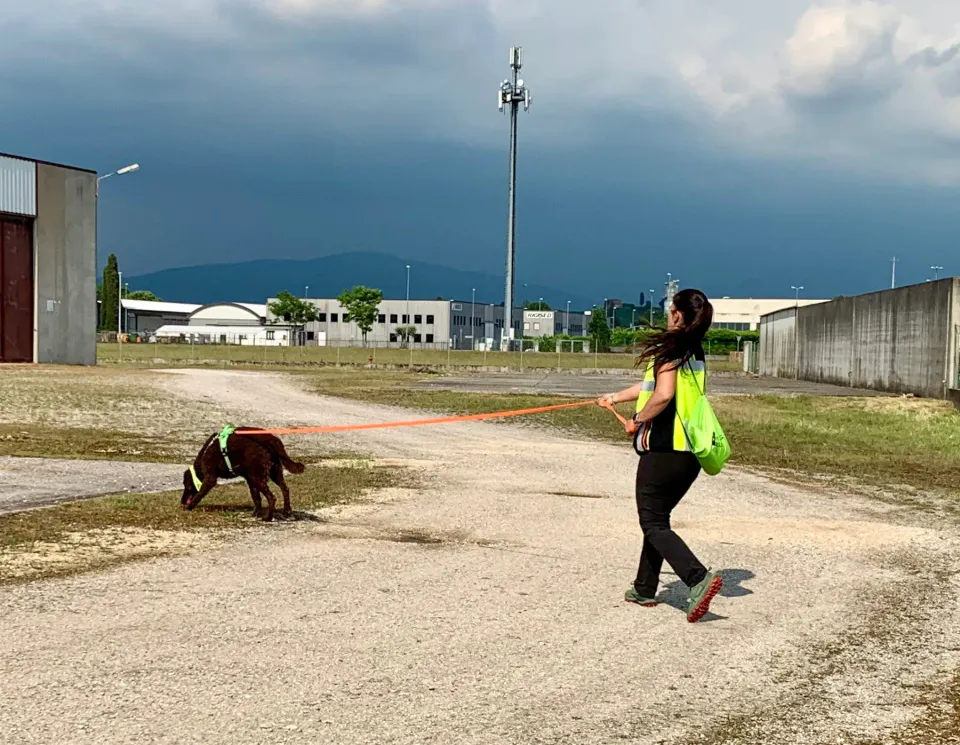 Foto GEM DOG A.S.D.: Corso tecnici di mantrailing FISC di primo livello, Leproso, 17 maggio 2025, foto 13 di 24