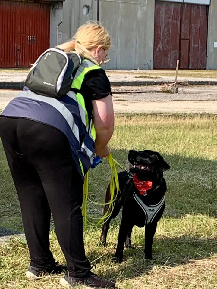 Foto GEM DOG A.S.D.: Corso tecnici di mantrailing FISC di primo livello, Leproso, 17 maggio 2025, foto 15 di 24