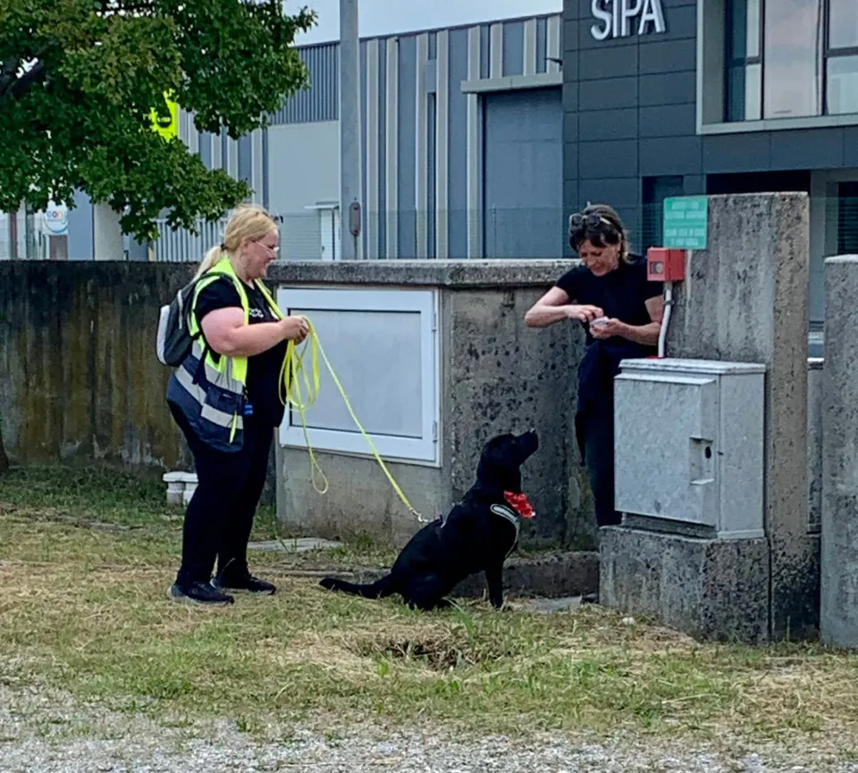 Foto GEM DOG A.S.D.: Corso tecnici di mantrailing FISC di primo livello, Leproso, 17 maggio 2025, foto 17 di 24