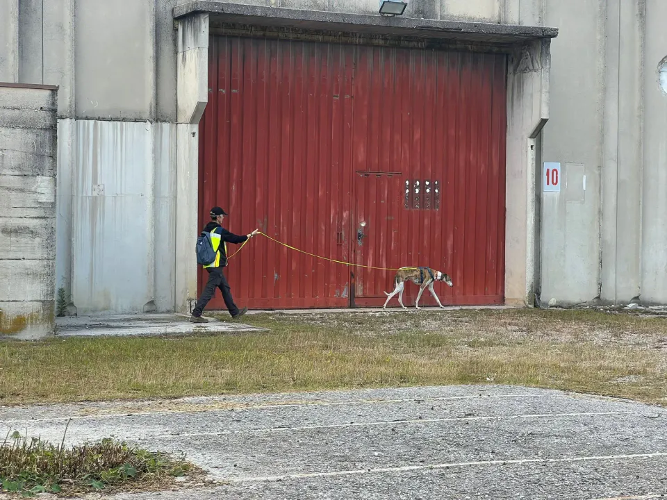 Foto GEM DOG A.S.D.: Corso tecnici di mantrailing FISC di primo livello, Leproso, 17 maggio 2025, foto 23 di 24