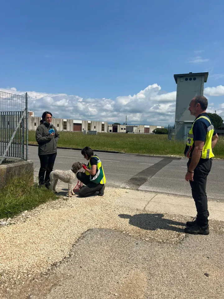 Foto GEM DOG A.S.D.: Corso tecnici di mantrailing FISC di primo livello, Leproso, 17 maggio 2025, foto 24 di 24