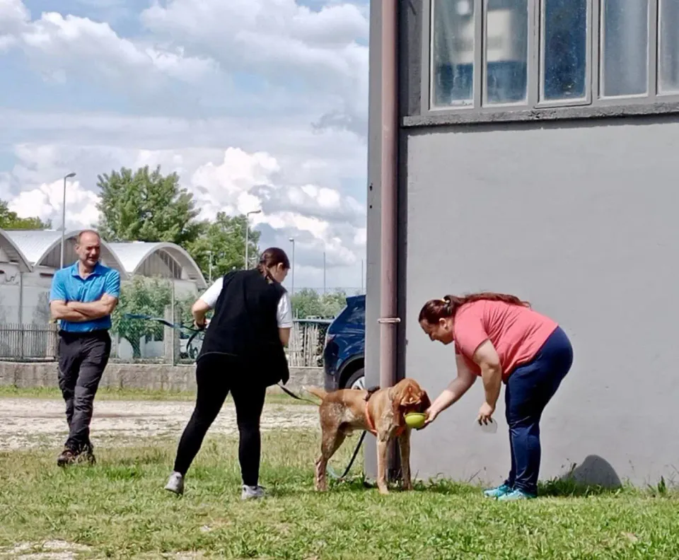 Foto GEM DOG A.S.D.: Giornata di avvicinamento al mantrailing, Leproso, 24 maggio 2025, foto 1 di 17