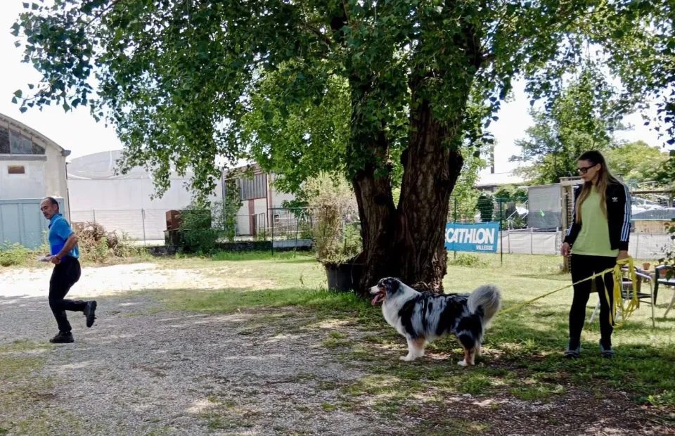 Foto GEM DOG A.S.D.: Giornata di avvicinamento al mantrailing, Leproso, 24 maggio 2025, foto 2 di 17