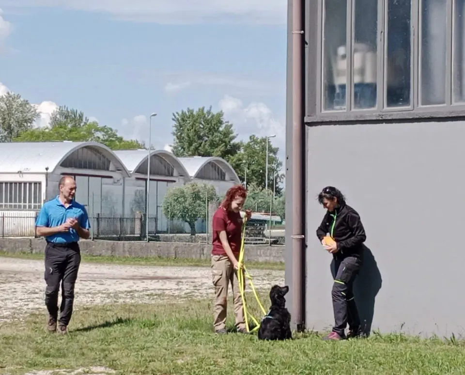 Foto GEM DOG A.S.D.: Giornata di avvicinamento al mantrailing, Leproso, 24 maggio 2025, foto 3 di 17