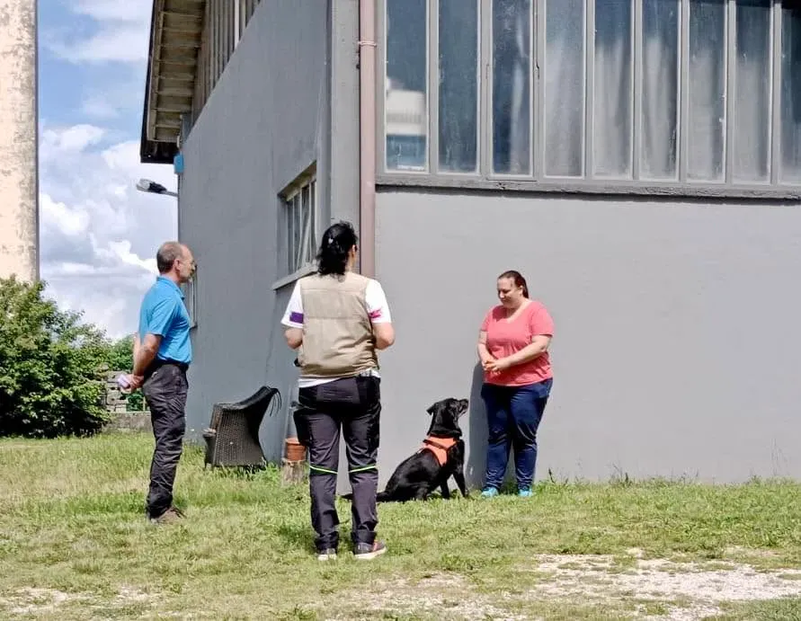 Foto GEM DOG A.S.D.: Giornata di avvicinamento al mantrailing, Leproso, 24 maggio 2025, foto 6 di 17