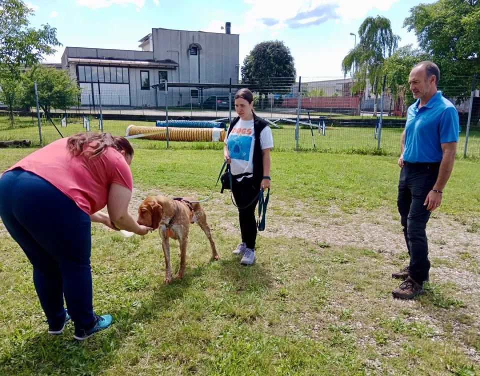 Foto GEM DOG A.S.D.: Giornata di avvicinamento al mantrailing, Leproso, 24 maggio 2025, foto 7 di 17