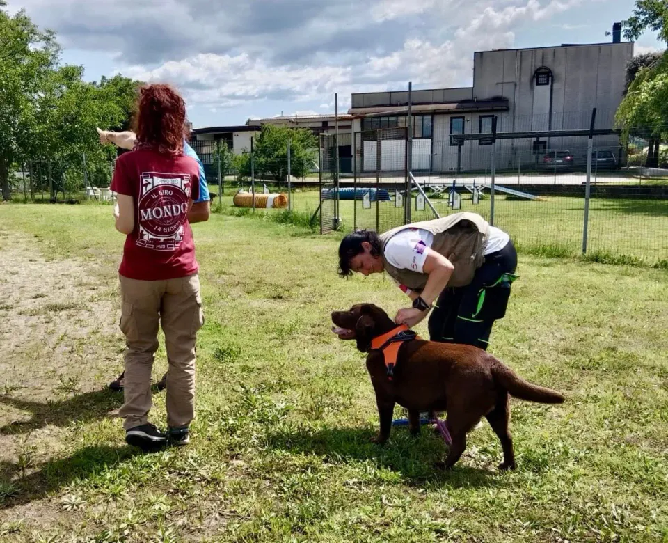 Foto GEM DOG A.S.D.: Giornata di avvicinamento al mantrailing, Leproso, 24 maggio 2025, foto 8 di 17