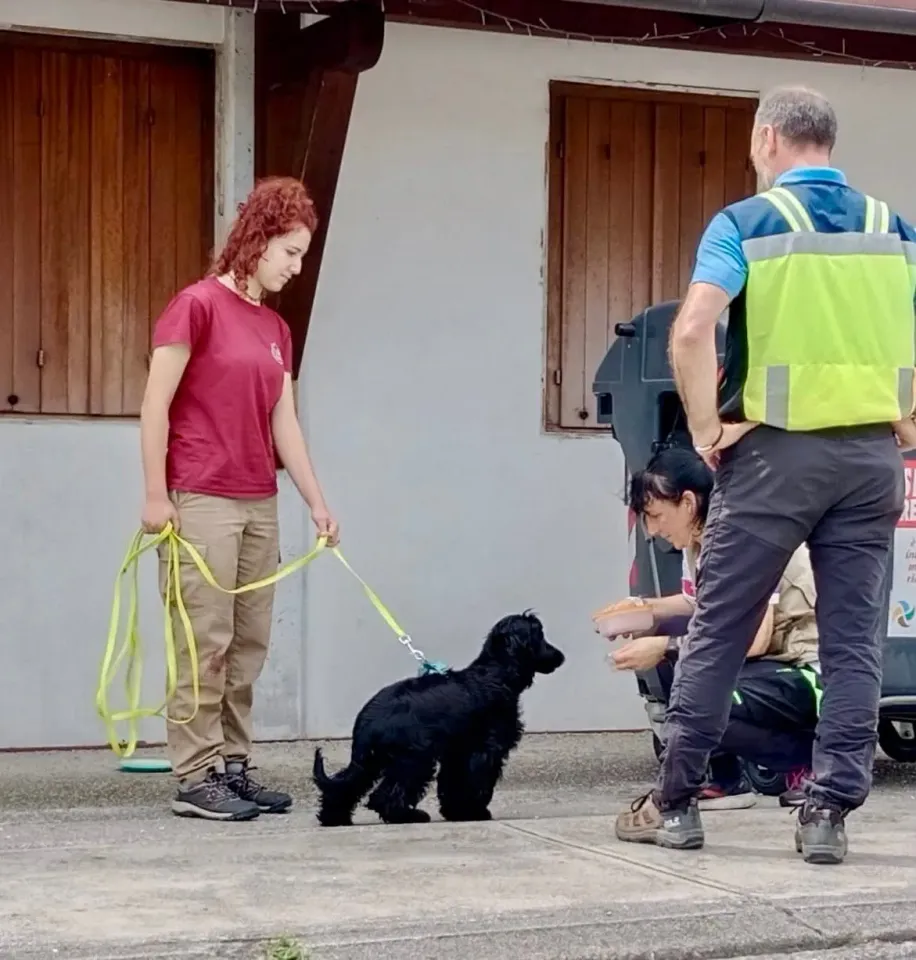 Foto GEM DOG A.S.D.: Giornata di avvicinamento al mantrailing, Leproso, 24 maggio 2025, foto 9 di 17