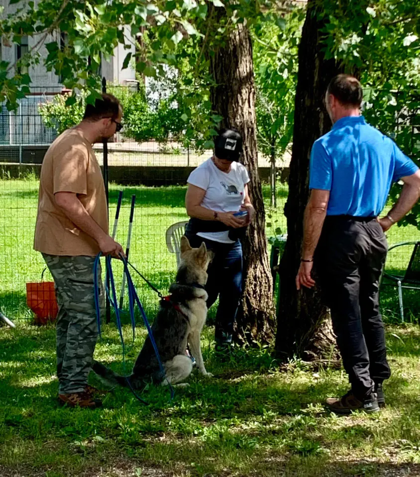 Foto GEM DOG A.S.D.: Giornata di avvicinamento al mantrailing, Leproso, 24 maggio 2025, foto 11 di 17