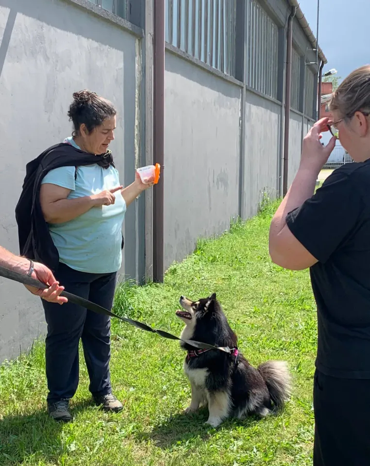 Foto GEM DOG A.S.D.: Giornata di avvicinamento al mantrailing, Leproso, 24 maggio 2025, foto 12 di 17