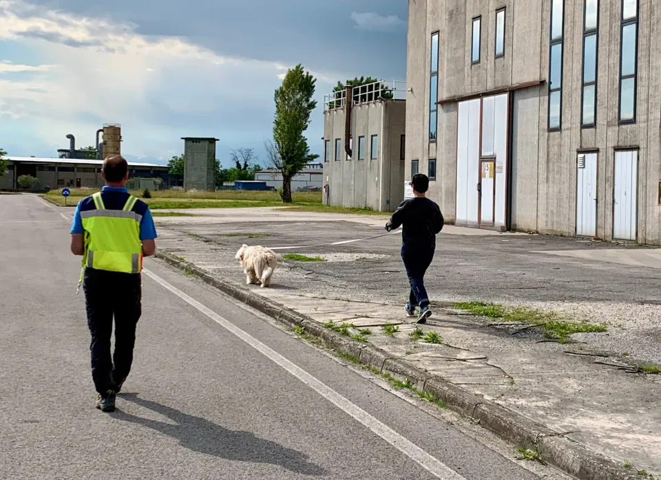 Foto GEM DOG A.S.D.: Giornata di avvicinamento al mantrailing, Leproso, 24 maggio 2025, foto 14 di 17