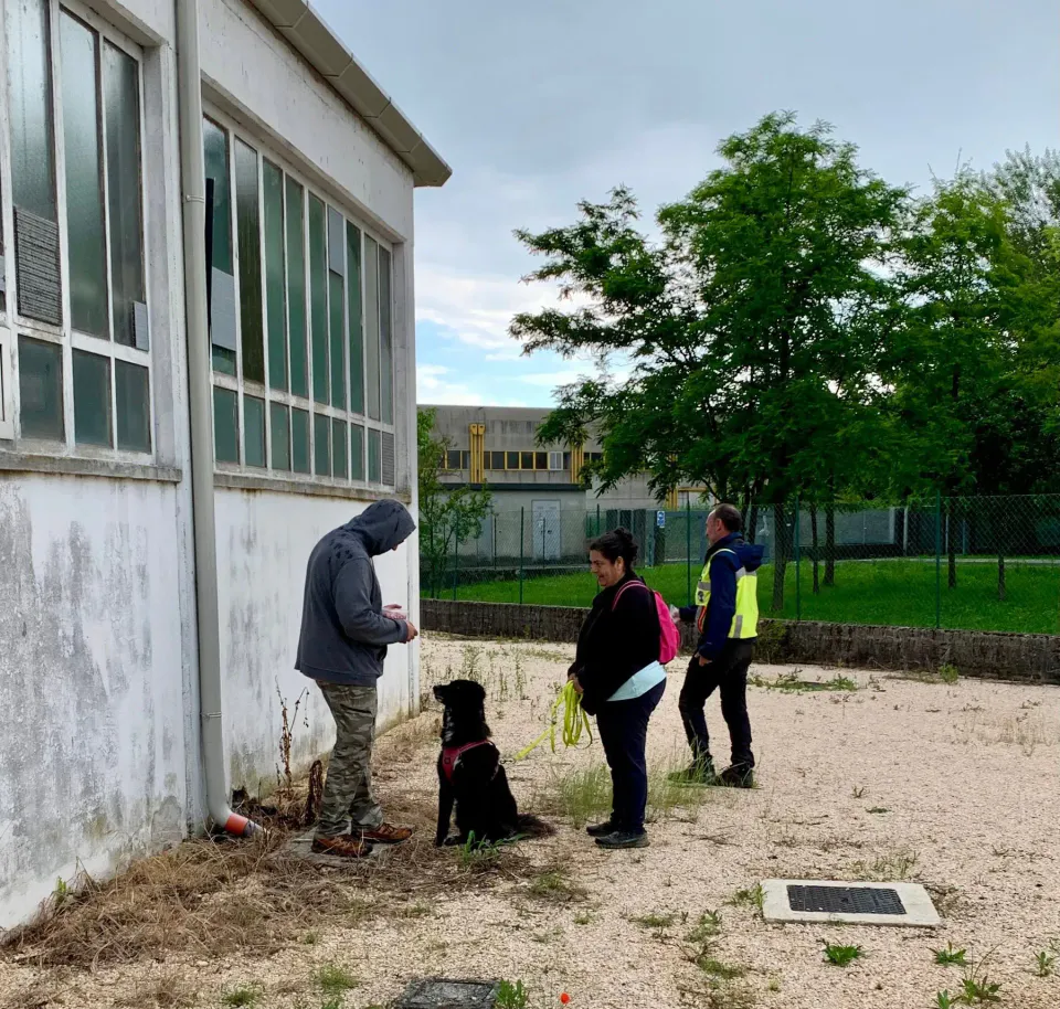 Foto GEM DOG A.S.D.: Giornata di avvicinamento al mantrailing, Leproso, 24 maggio 2025, foto 17 di 17