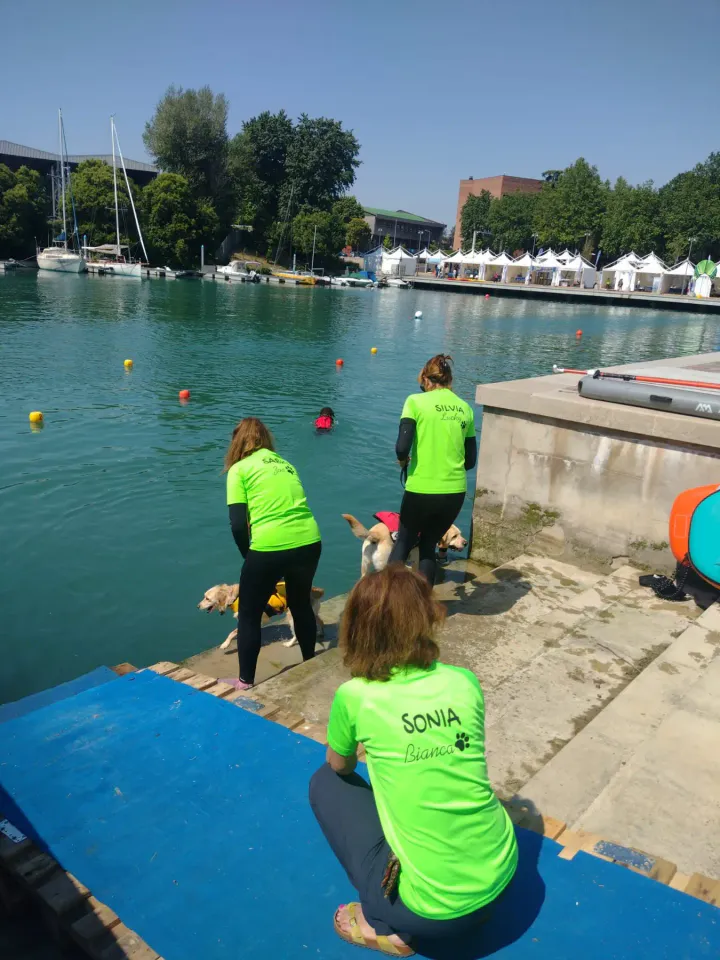 Foto GEM DOG A.S.D.: Gem Dog a Promomare, Monfalcone, 1 giugno 2025, foto 5 di 33