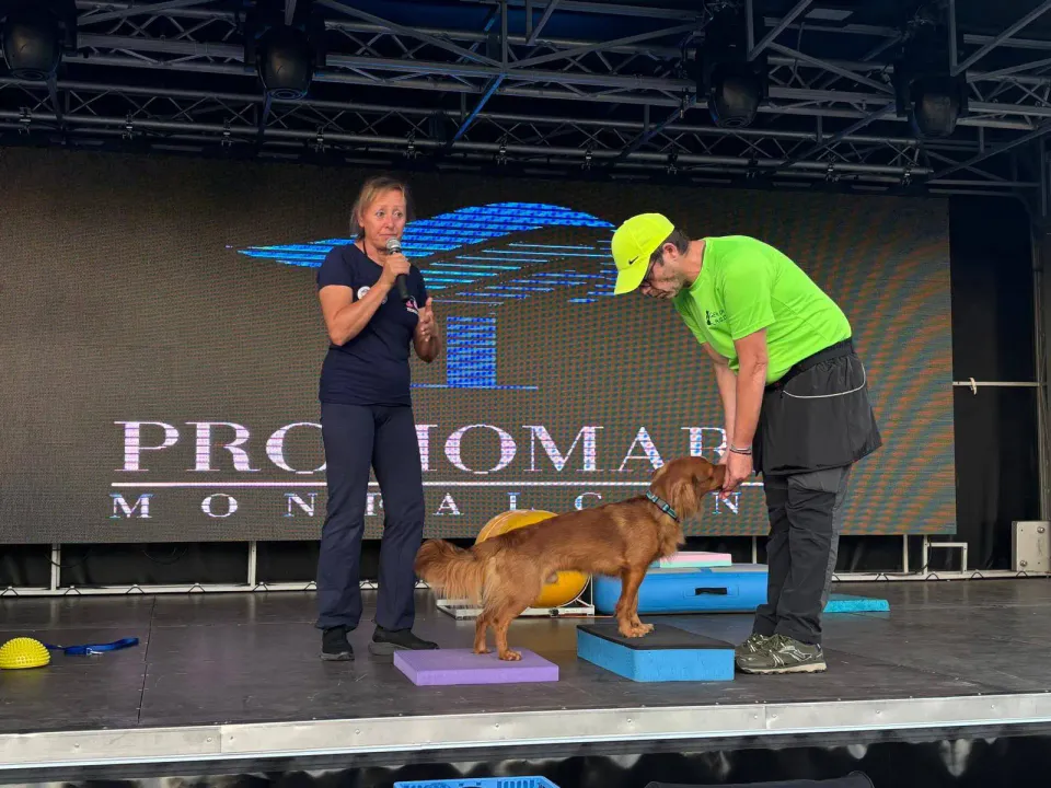 Foto GEM DOG A.S.D.: Gem Dog a Promomare, Monfalcone, 1 giugno 2025, foto 12 di 33