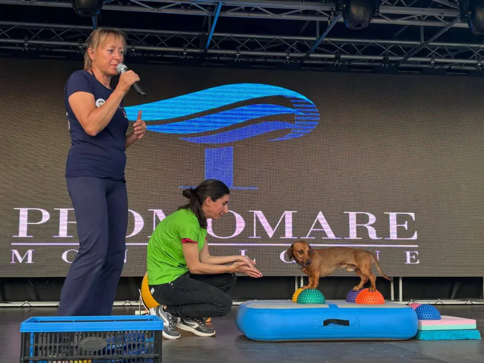 Foto GEM DOG A.S.D.: Gem Dog a Promomare, Monfalcone, 1 giugno 2025, foto 13 di 33