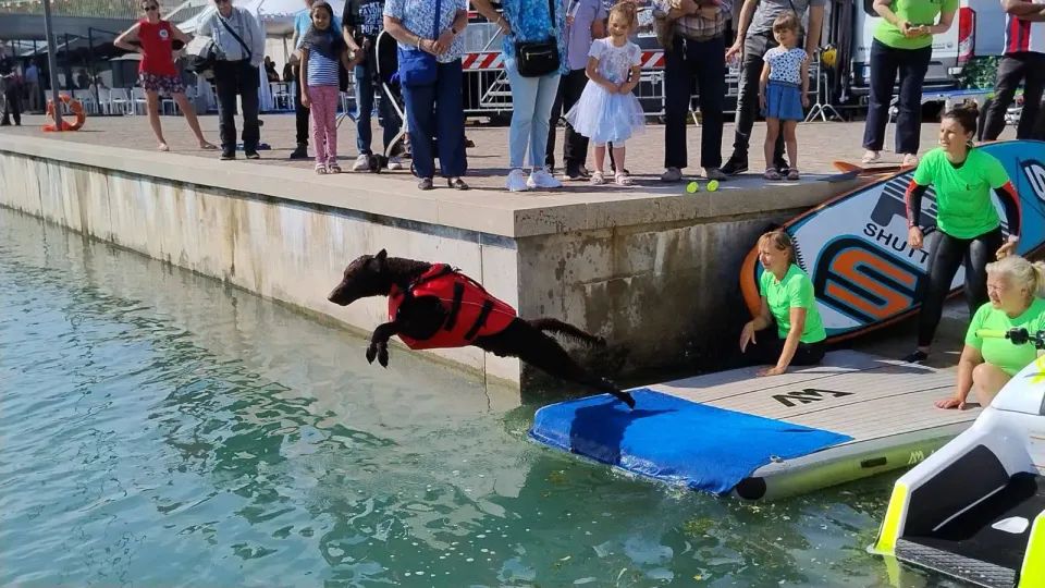 Foto GEM DOG A.S.D.: Gem Dog a Promomare, Monfalcone, 1 giugno 2025, foto 25 di 33