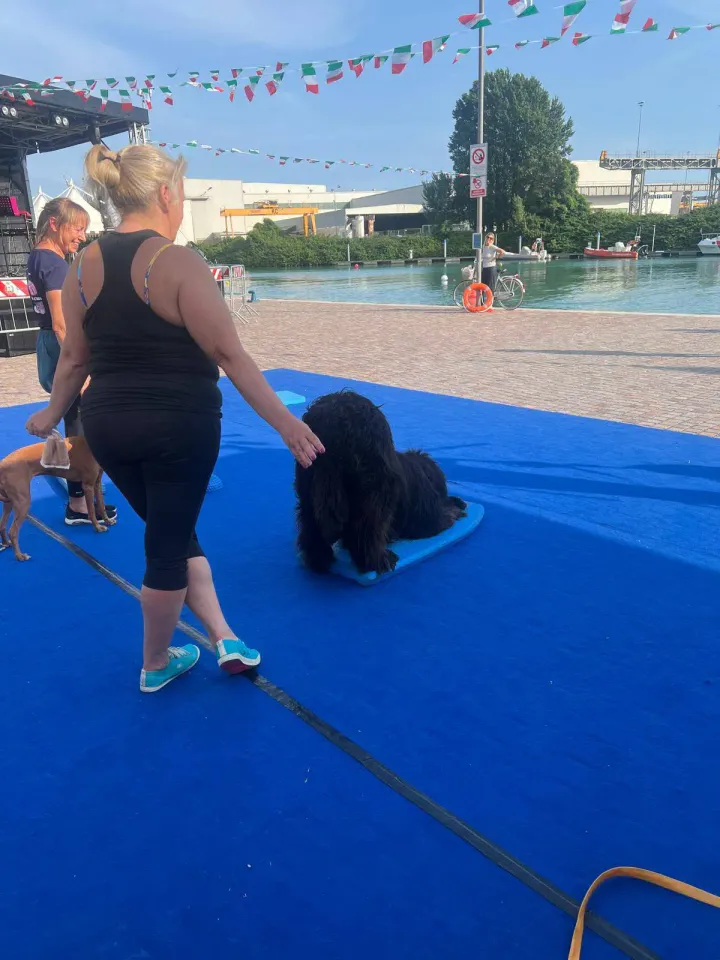 Foto GEM DOG A.S.D.: Gem Dog a Promomare, Monfalcone, 1 giugno 2025, foto 26 di 33