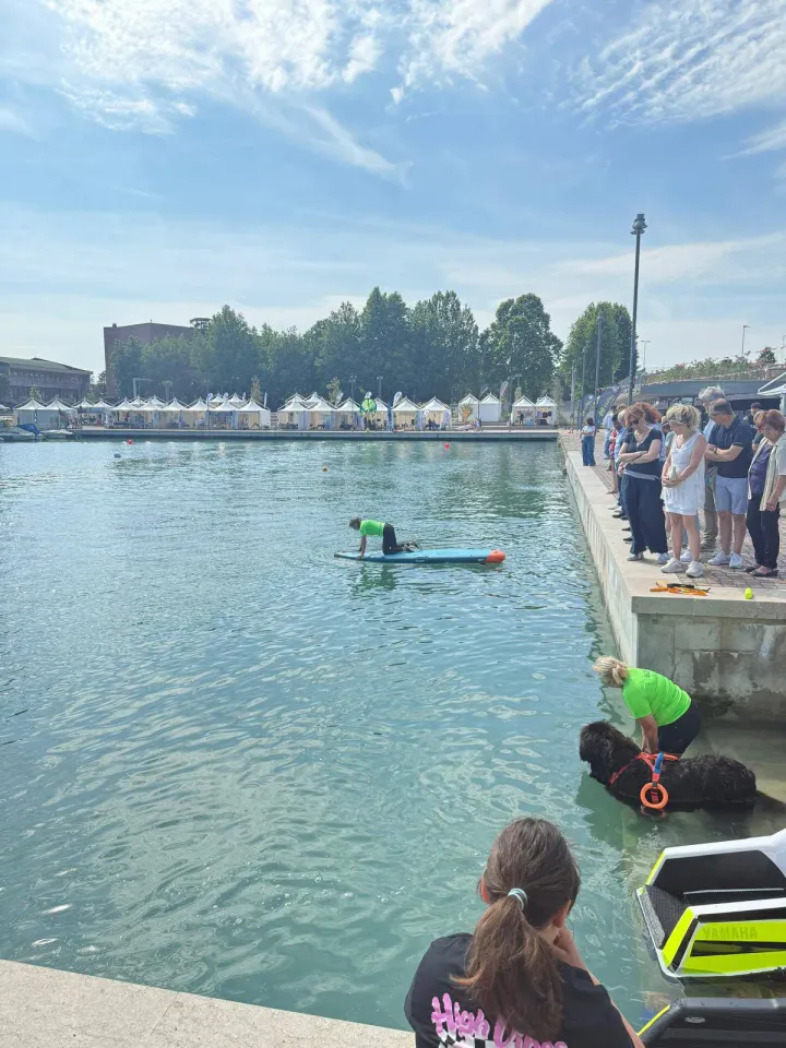 Foto GEM DOG A.S.D.: Gem Dog a Promomare, Monfalcone, 1 giugno 2025, foto 27 di 33