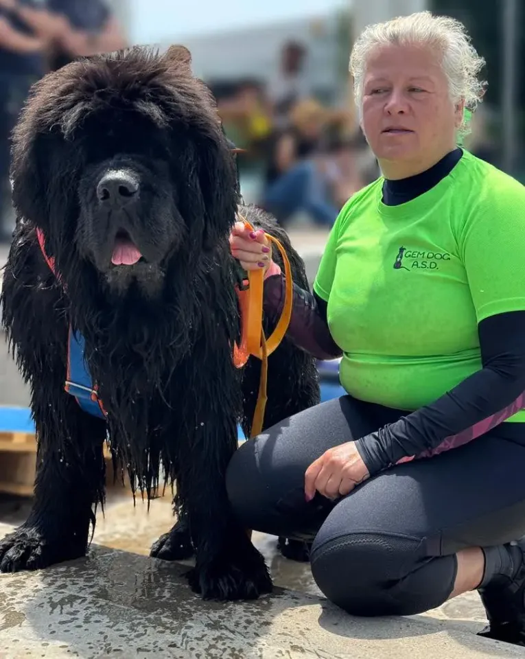Foto GEM DOG A.S.D.: Gem Dog a Promomare, Monfalcone, 1 giugno 2025, foto 30 di 33