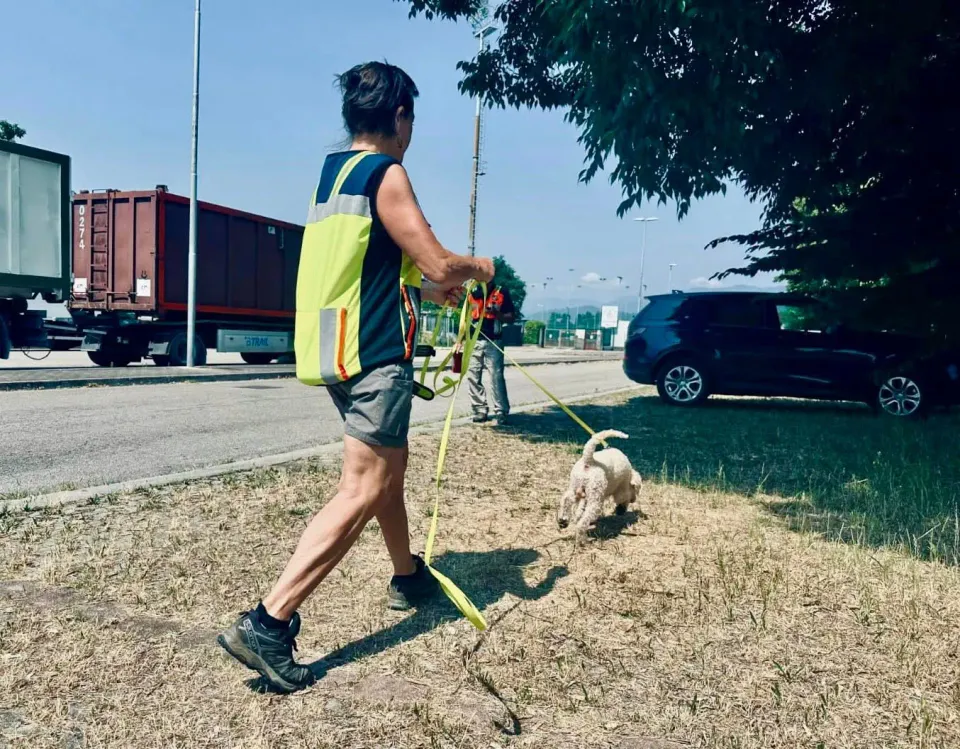 Foto GEM DOG A.S.D.: Gara interregionale di mantrailing FISC, Orsago, 22 giugno 2025, foto 6 di 9