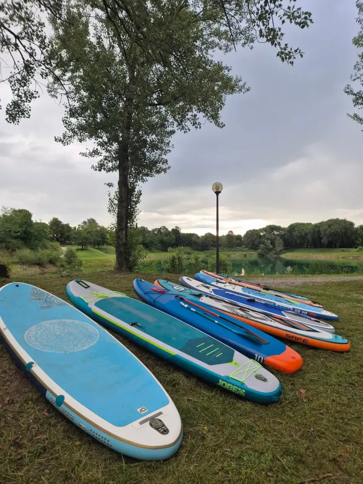 Foto GEM DOG A.S.D.: Giornata di dog SUP, 3 agosto 2025, foto 1 di 27