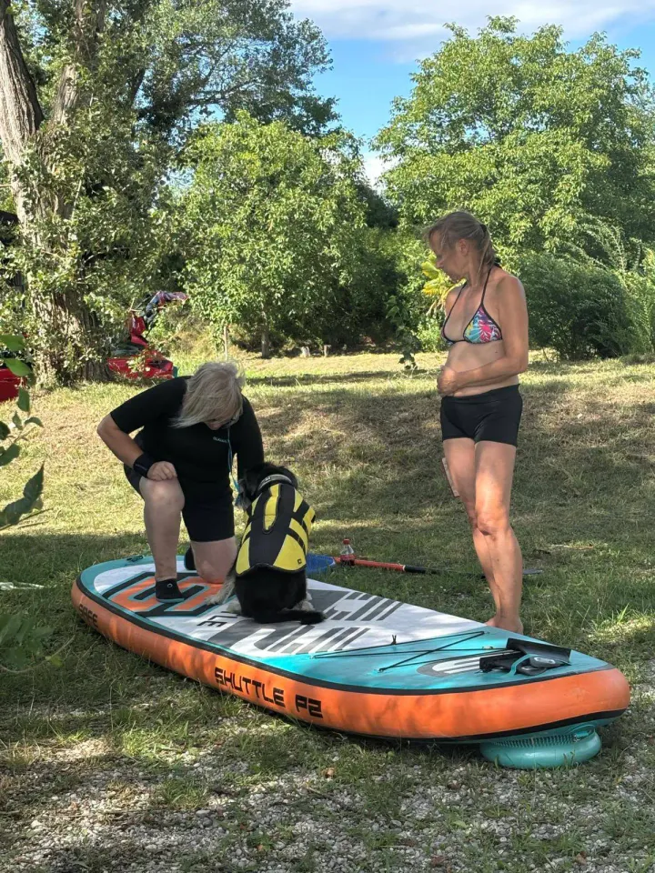 Foto GEM DOG A.S.D.: Giornata di dog SUP, 3 agosto 2025, foto 11 di 27