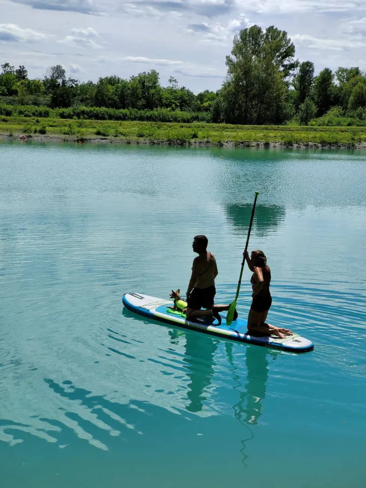 Foto GEM DOG A.S.D.: Giornata di dog SUP, 3 agosto 2025, foto 14 di 27