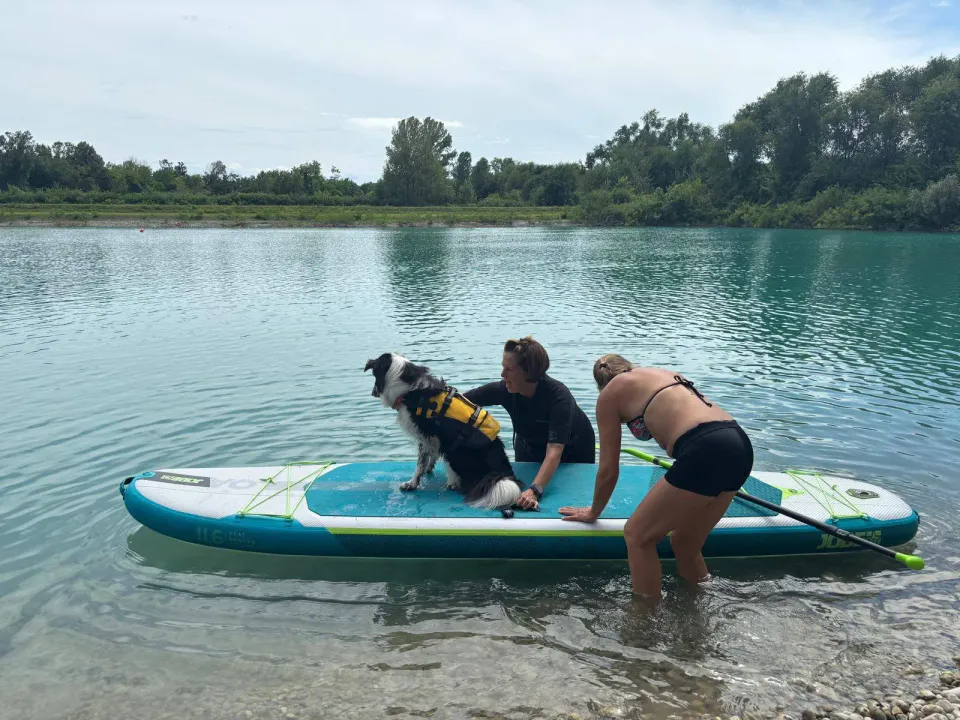 Foto GEM DOG A.S.D.: Giornata di dog SUP, 3 agosto 2025, foto 17 di 27