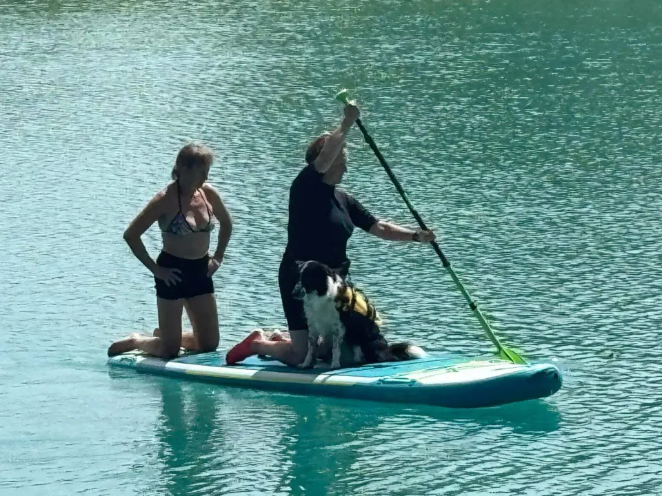 Foto GEM DOG A.S.D.: Giornata di dog SUP, 3 agosto 2025, foto 18 di 27