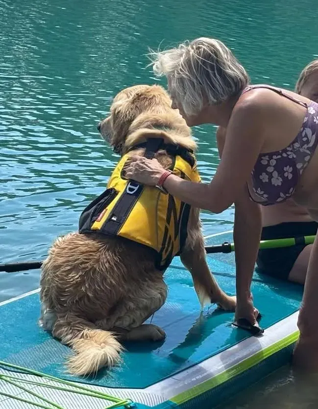 Foto GEM DOG A.S.D.: Giornata di dog SUP, 3 agosto 2025, foto 20 di 27