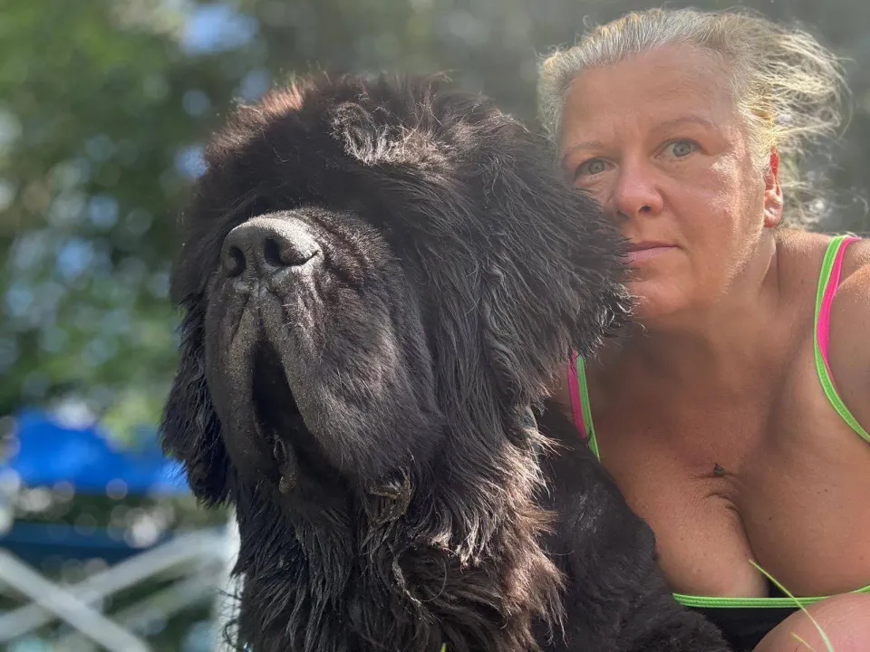 Foto GEM DOG A.S.D.: Giornata di dog SUP, 3 agosto 2025, foto 26 di 27