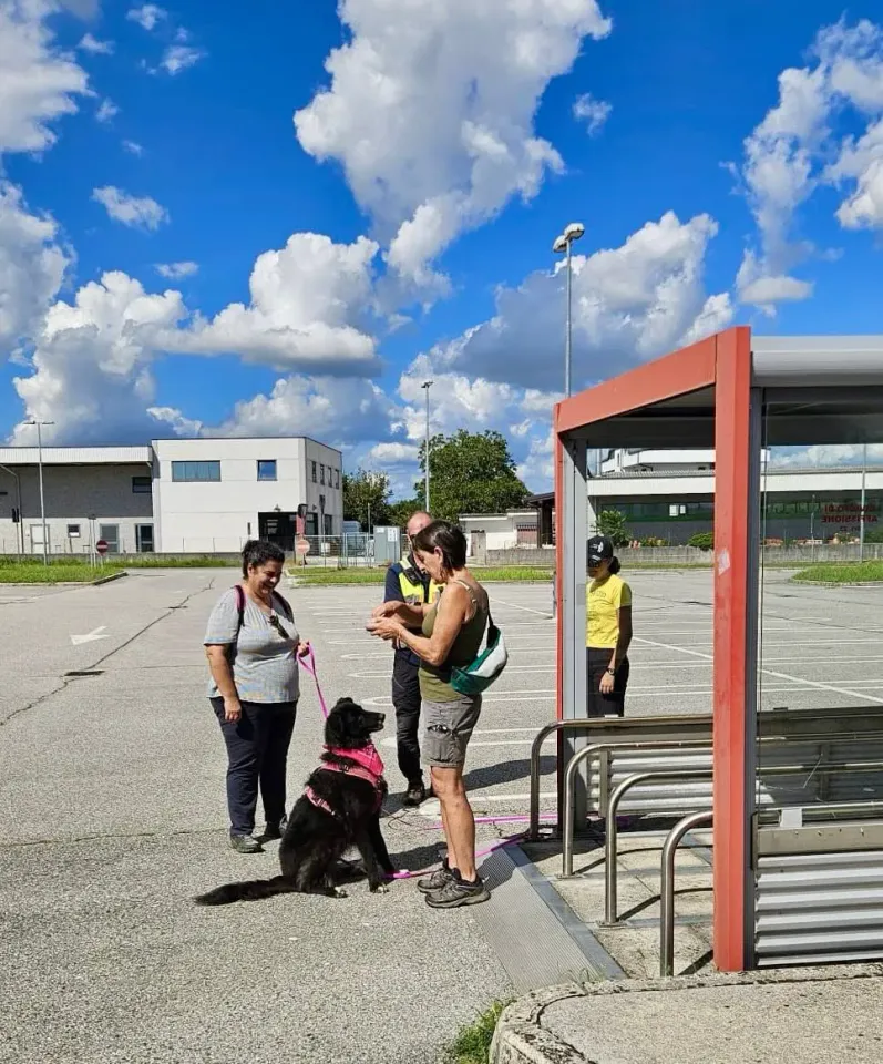 Foto GEM DOG A.S.D.: Allenamento di mantrailing, 31 agosto 2025, foto 1 di 13