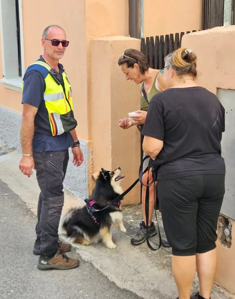 Foto GEM DOG A.S.D.: Allenamento di mantrailing, 31 agosto 2025, foto 2 di 13