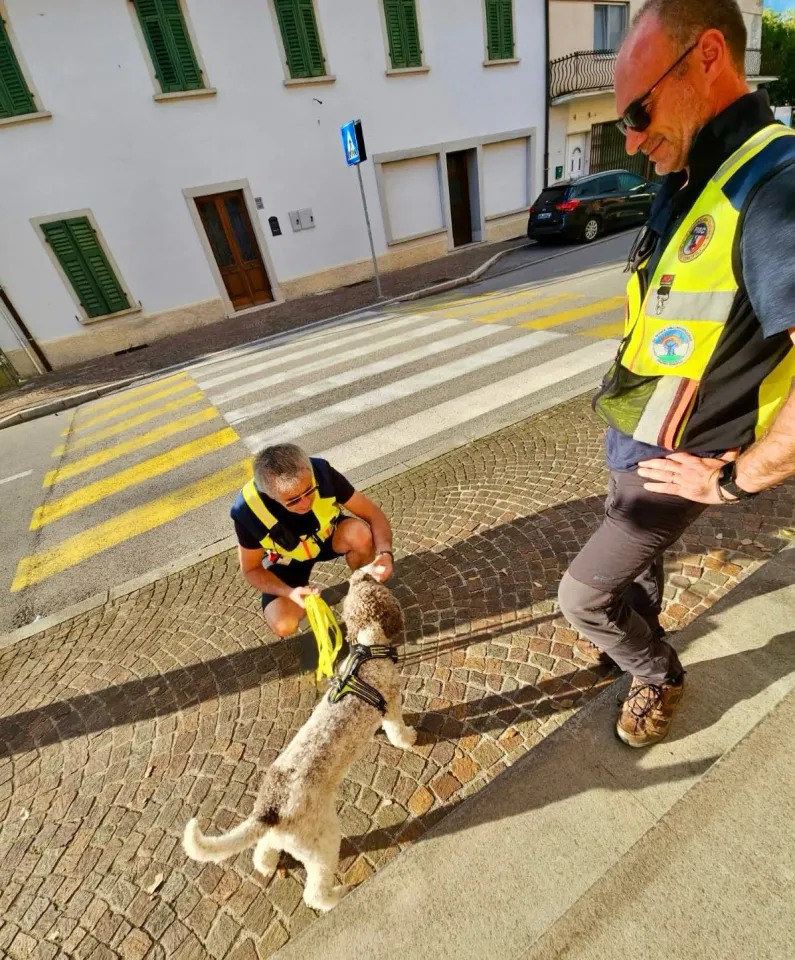 Foto GEM DOG A.S.D.: Allenamento di mantrailing, 31 agosto 2025, foto 4 di 13