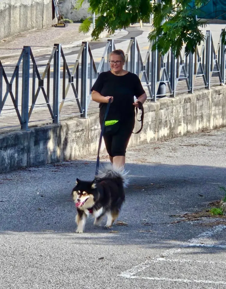 Foto GEM DOG A.S.D.: Allenamento di mantrailing, 31 agosto 2025, foto 8 di 13