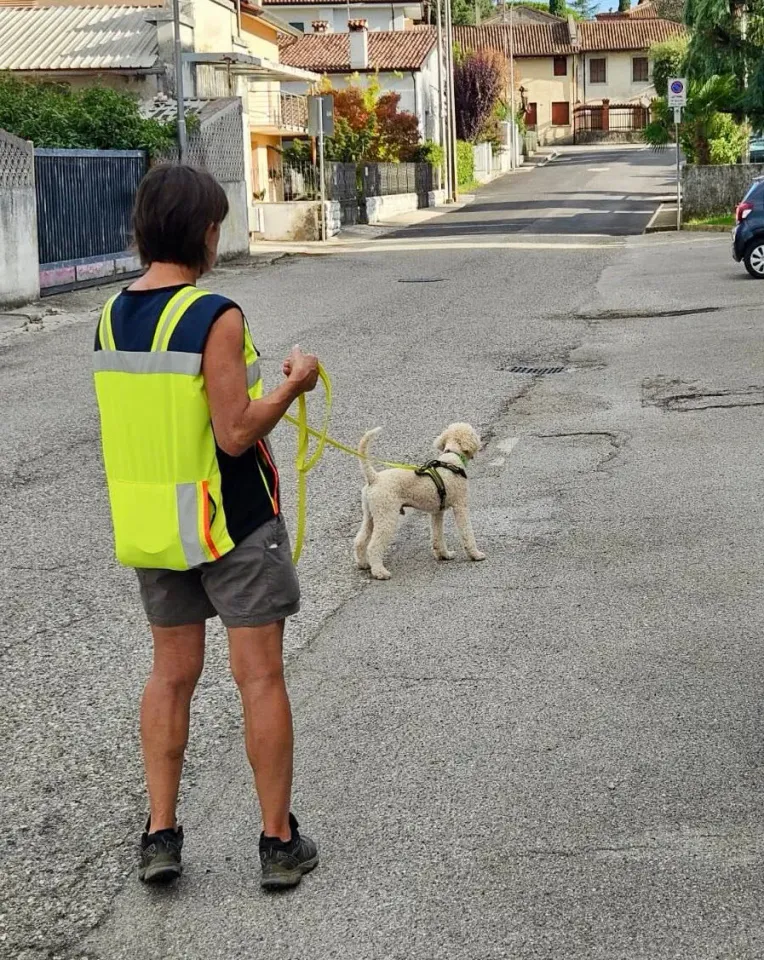 Foto GEM DOG A.S.D.: Allenamento di mantrailing, 31 agosto 2025, foto 9 di 13